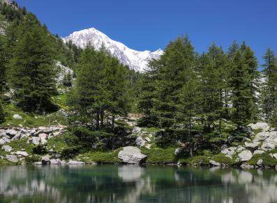 Blick auf den Mont Blanc vom Lago d'Arpy